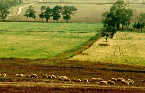 LEED绿色建筑对零碳园区具有三大显著特征